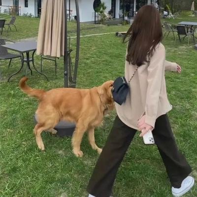 七夜怪谈：少女的怨念